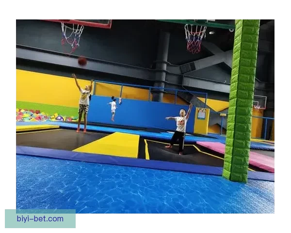 必一体育平台可靠吗用户真实体验分析及功能优缺点全面解析